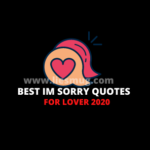 Best Im Sorry Quotes For Lover 2020
