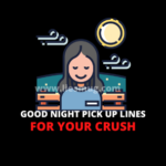 Good Night Pick Up Lines