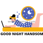 Best Good Night Handsome Message