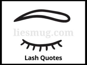 Best Lash Quotes