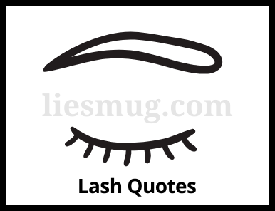 Best Lash Quotes