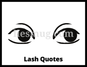 Lash Quotes Top 100+ Lash Quotes for You